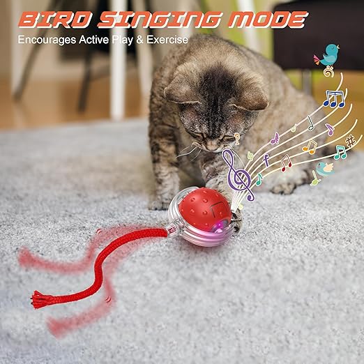 🐱 Electric Automatic Cat Ball Toy – Smart Interactive Toy for Indoor & Outdoor Cats