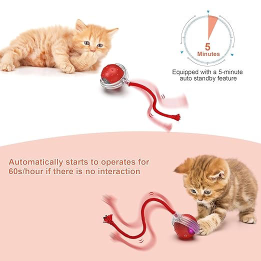 🐱 Electric Automatic Cat Ball Toy – Smart Interactive Toy for Indoor & Outdoor Cats