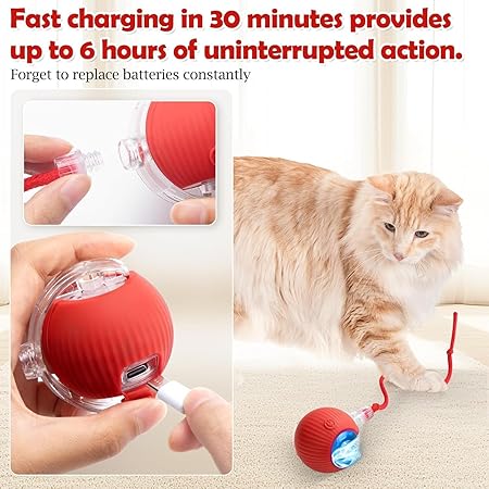 Interactive Ball Toy with Tail – Keep Pets Active & Entertained!