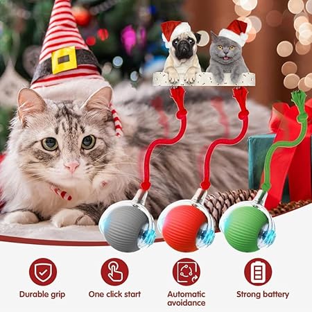 Interactive Ball Toy with Tail – Keep Pets Active & Entertained!