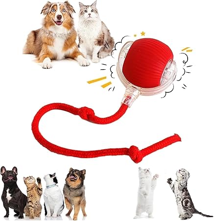 Interactive Ball Toy with Tail – Keep Pets Active & Entertained!