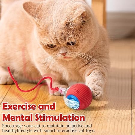 Interactive Ball Toy with Tail – Keep Pets Active & Entertained!